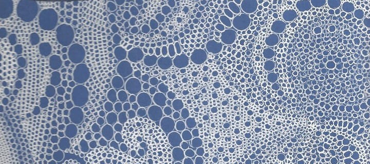 Cercles I